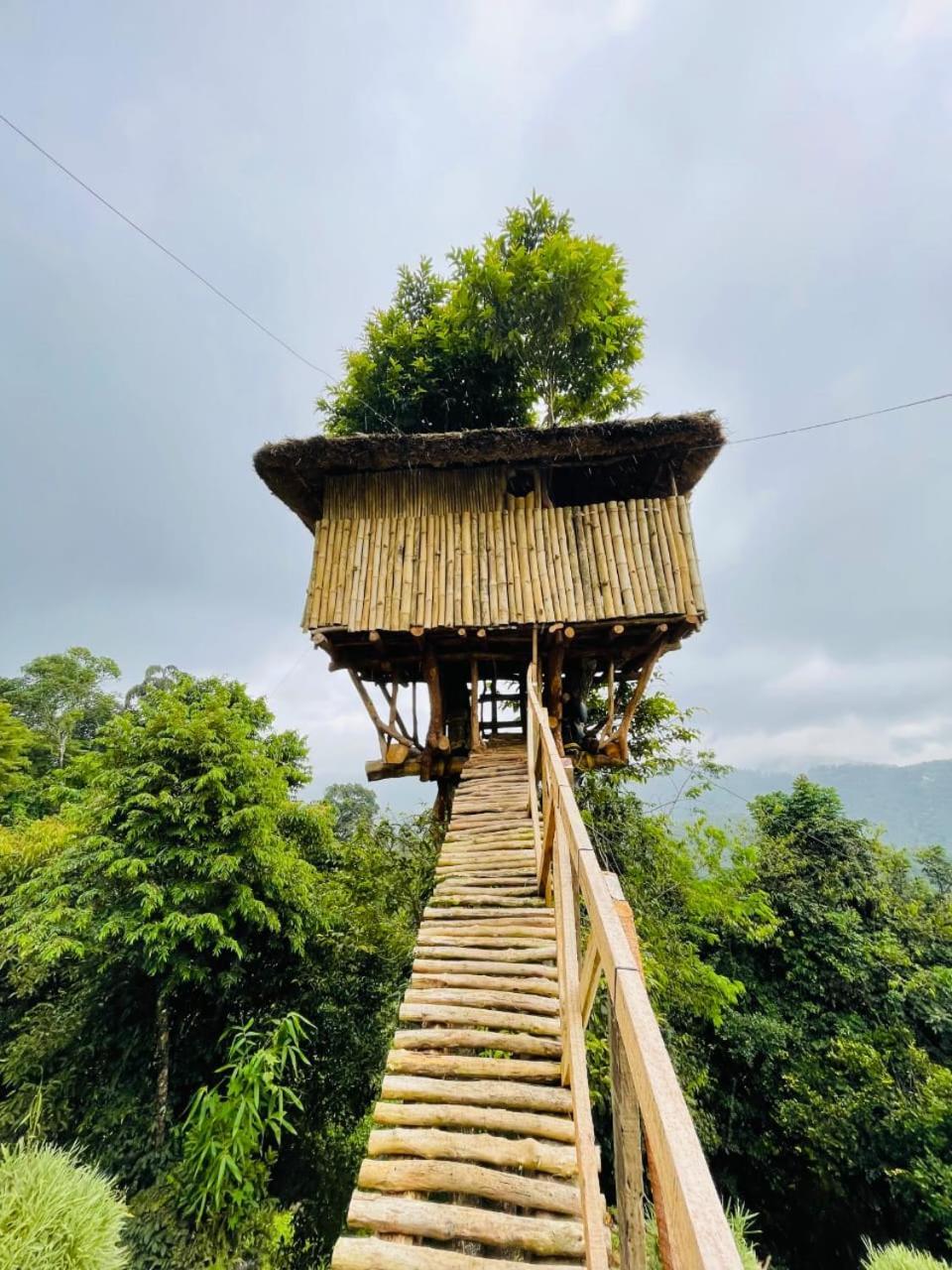 Palkulam Heights Villa Kumudi Eksteriør billede
